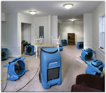 Drying & Dehumidification in Cecil, PA