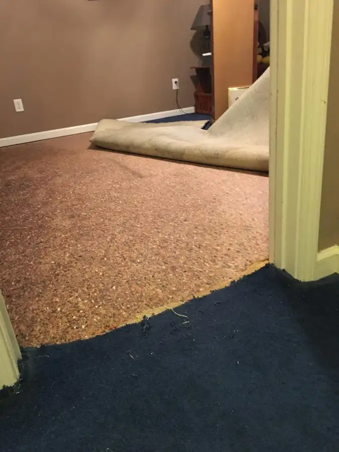 Carpet pad removal revealing water damage during Drying & Dehumidification in Cecil