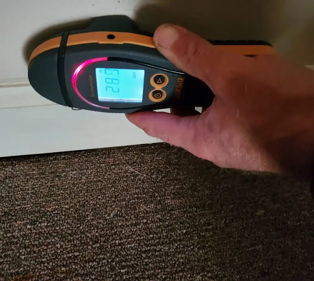 Moisture detection at baseboard during Sewage Cleanup & Sanitation in Cecil